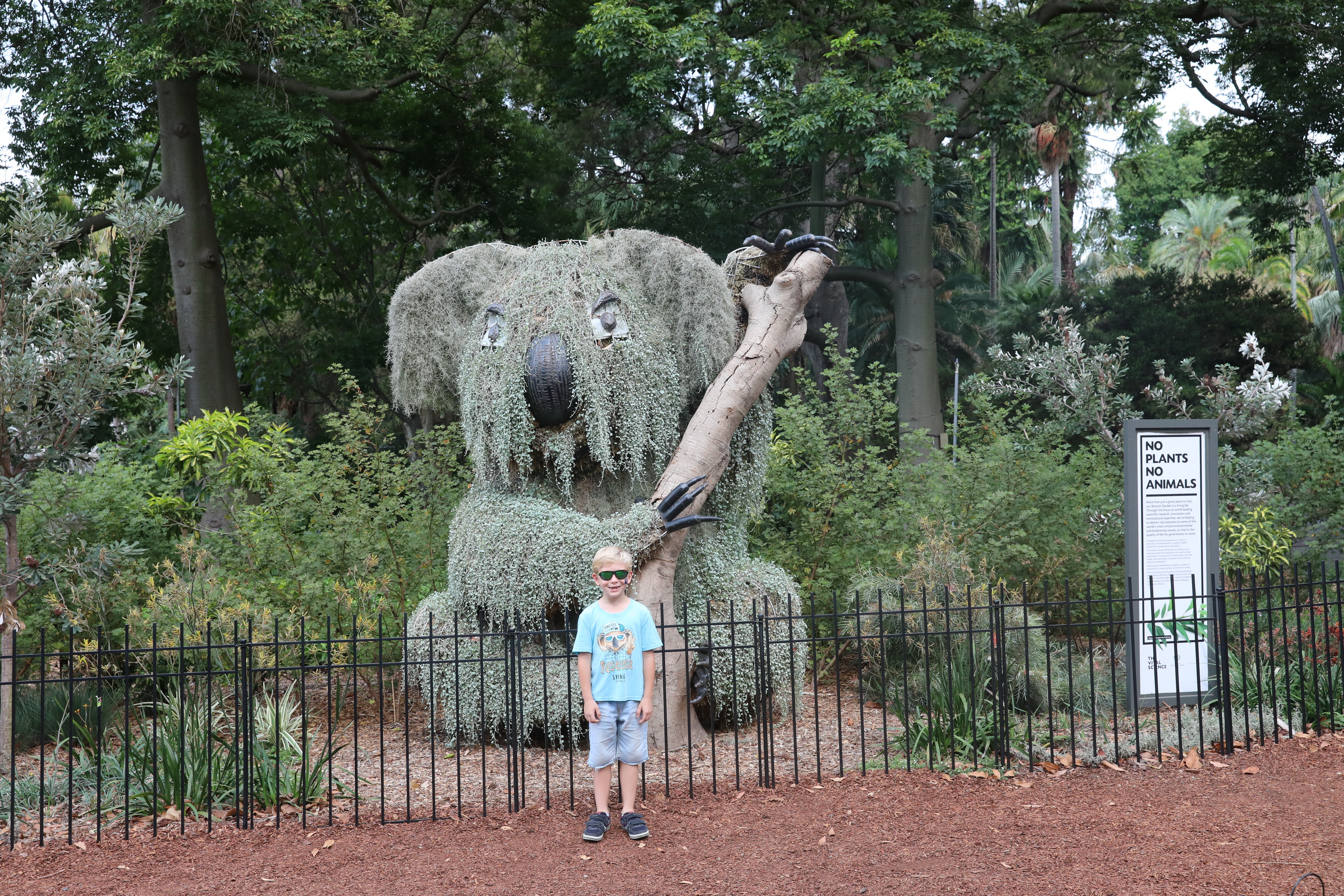 Giant Koala Made of Plants im Royal Botanic Garden